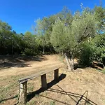Maison Au Calme Piscine Au Coeur De La Nature U Nuciolu Casa vacanze Talasani