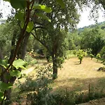 Maison Au Calme Piscine Au Coeur De La Nature U Nuciolu Casa vacanze