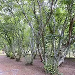 Maison Au Calme Piscine Au Coeur De La Nature U Nuciolu * Talasani