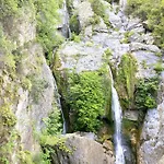 Maison Au Calme Piscine Au Coeur De La Nature U Nuciolu * Talasani