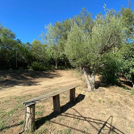 Maison Au Calme Piscine Au Coeur De La Nature U Nuciolu Casa vacanze Talasani