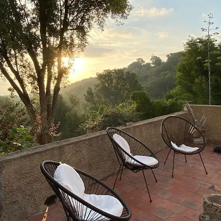 Maison Au Calme Piscine Au Coeur De La Nature U Nuciolu *