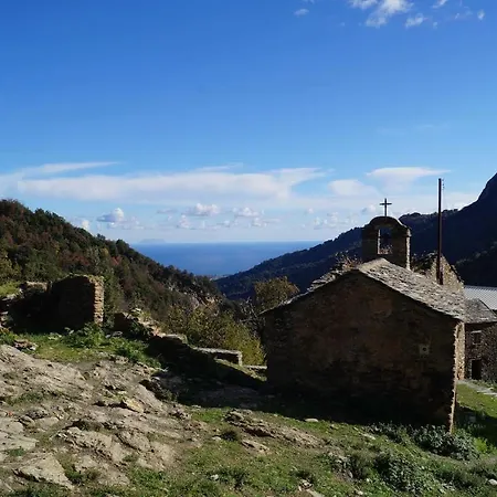 Hébergement de vacances Maison Au Calme Piscine Au Coeur De La Nature U Nuciolu Talasani