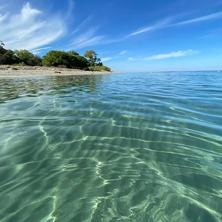 Hébergement de vacances Maison Au Calme Piscine Au Coeur De La Nature U Nuciolu