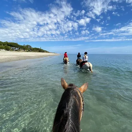 Maison Au Calme Piscine Au Coeur De La Nature U Nuciolu * Talasani