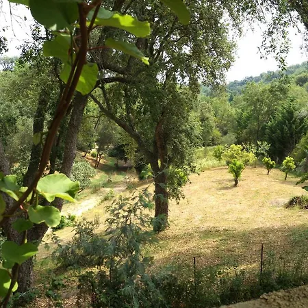Maison Au Calme Piscine Au Coeur De La Nature U Nuciolu Casa de Férias