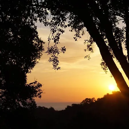 Maison Au Calme Piscine Au Coeur De La Nature U Nuciolu Casa de Férias *
