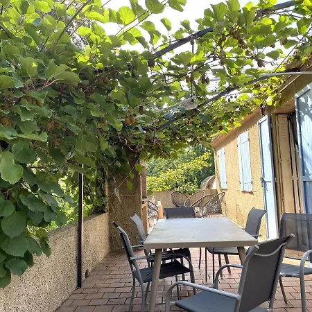 Maison Au Calme Piscine Au Coeur De La Nature U Nuciolu *