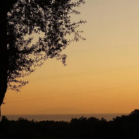 Casa de Férias Maison Au Calme Piscine Au Coeur De La Nature U Nuciolu