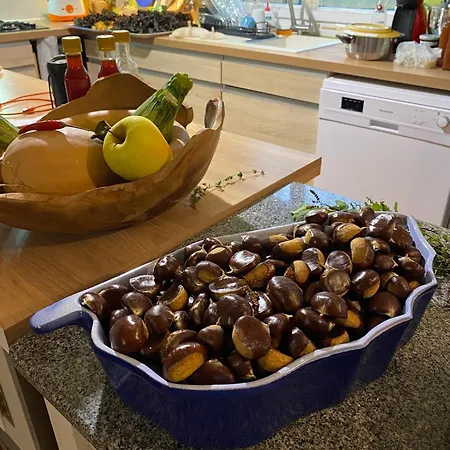 Casa de Férias Maison Au Calme Piscine Au Coeur De La Nature U Nuciolu