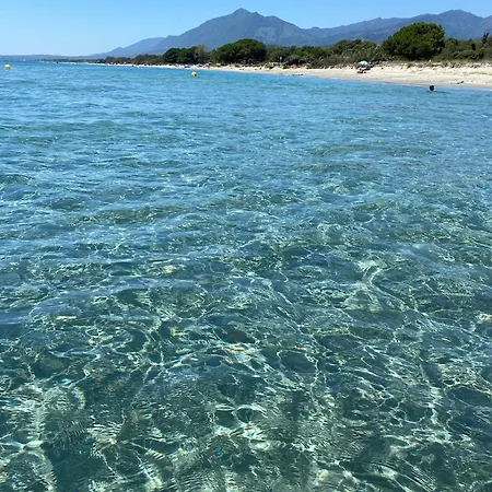 Casa de Férias Maison Au Calme Piscine Au Coeur De La Nature U Nuciolu