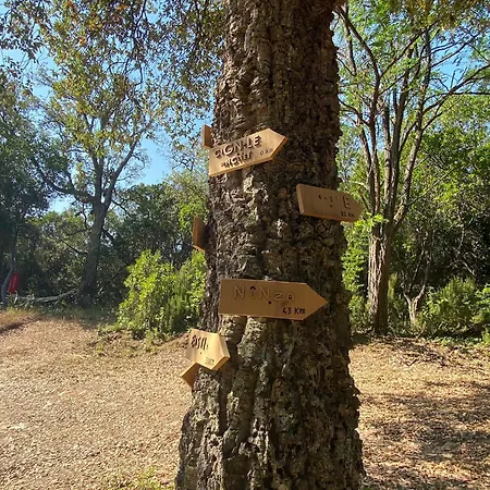 Hébergement de vacances Maison Au Calme Piscine Au Coeur De La Nature U Nuciolu Talasani