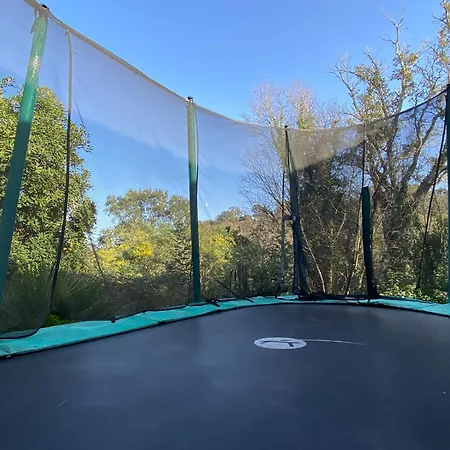 Maison Au Calme Piscine Au Coeur De La Nature U Nuciolu *