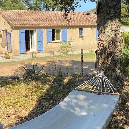 Maison Au Calme Piscine Au Coeur De La Nature U Nuciolu Talasani