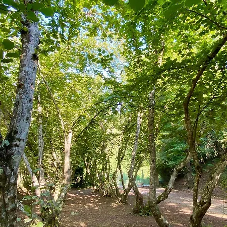 Maison Au Calme Piscine Au Coeur De La Nature U Nuciolu * Talasani