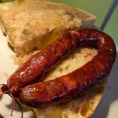 Maison Au Calme Piscine Au Coeur De La Nature U Nuciolu Casa de Férias