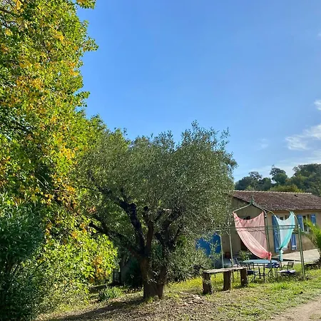 度假居 Maison Au Calme Piscine Au Coeur De La Nature U Nuciolu Talasani