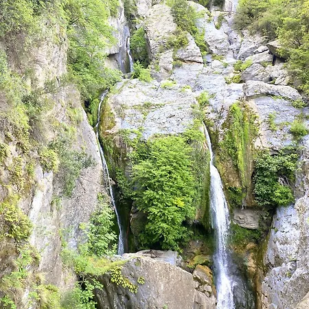 Maison Au Calme Piscine Au Coeur De La Nature U Nuciolu * Talasani