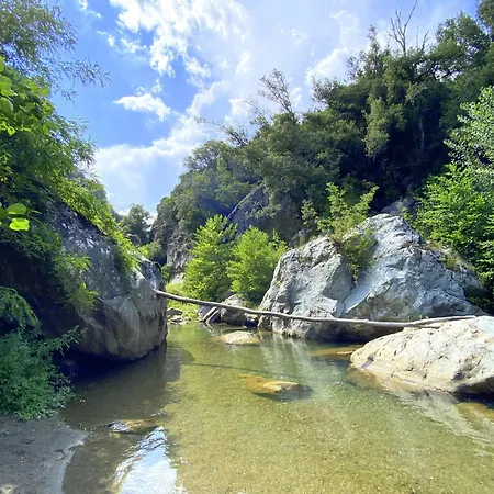 Maison Au Calme Piscine Au Coeur De La Nature U Nuciolu Feriehus