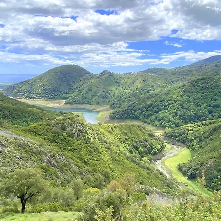 Maison Au Calme Piscine Au Coeur De La Nature U Nuciolu 度假居 *