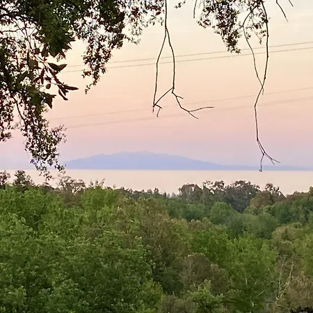Maison Au Calme Piscine Au Coeur De La Nature U Nuciolu