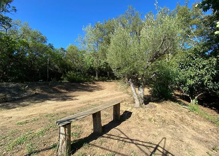 Maison Au Calme Piscine Au Coeur De La Nature U Nuciolu 度假居 Talasani