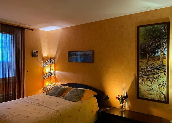 度假居 Maison Au Calme Piscine Au Coeur De La Nature U Nuciolu *