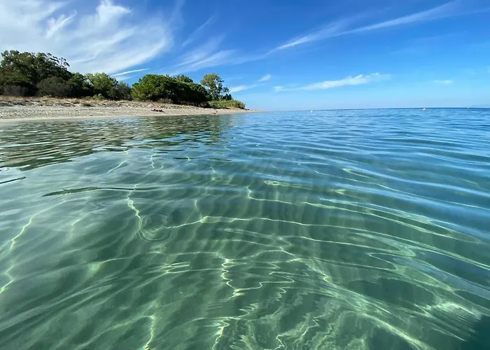 度假居 Maison Au Calme Piscine Au Coeur De La Nature U Nuciolu