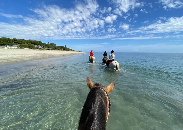 Maison Au Calme Piscine Au Coeur De La Nature U Nuciolu * Talasani
