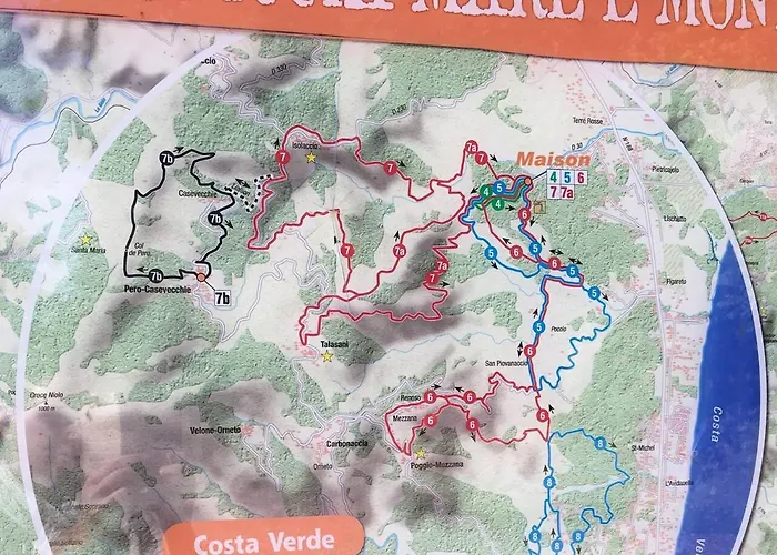 Maison Au Calme Piscine Au Coeur De La Nature U Nuciolu