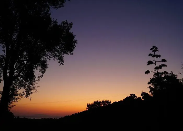 度假居 Maison Au Calme Piscine Au Coeur De La Nature U Nuciolu Talasani