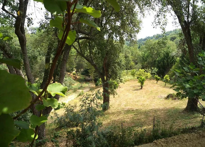 Maison Au Calme Piscine Au Coeur De La Nature U Nuciolu 度假居