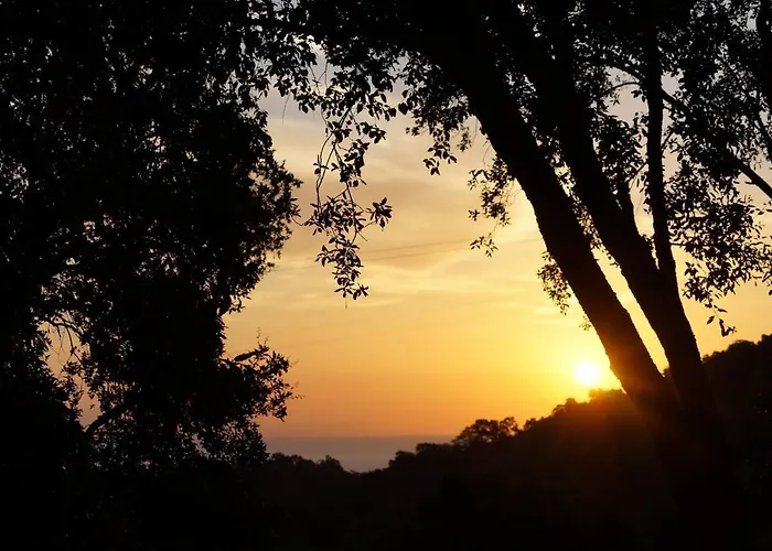 Maison Au Calme Piscine Au Coeur De La Nature U Nuciolu 度假居 *