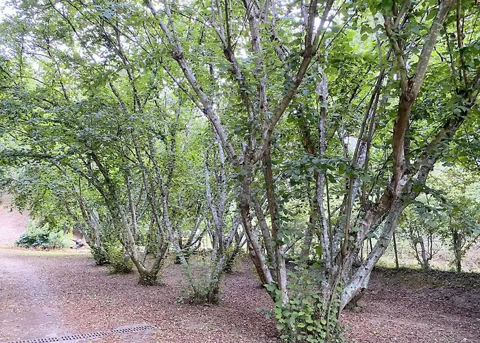 Maison Au Calme Piscine Au Coeur De La Nature U Nuciolu * Talasani