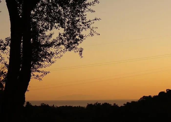 度假居 Maison Au Calme Piscine Au Coeur De La Nature U Nuciolu