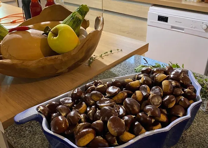 度假居 Maison Au Calme Piscine Au Coeur De La Nature U Nuciolu