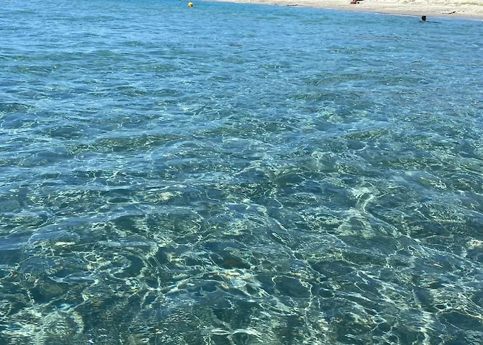 度假居 Maison Au Calme Piscine Au Coeur De La Nature U Nuciolu
