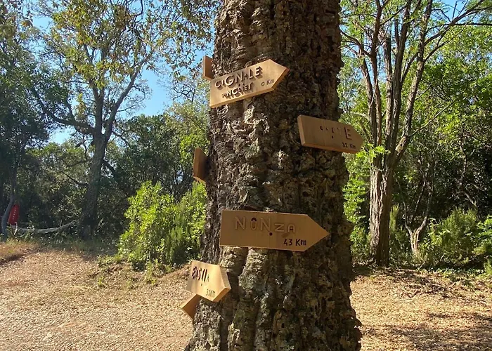 度假居 Maison Au Calme Piscine Au Coeur De La Nature U Nuciolu Talasani