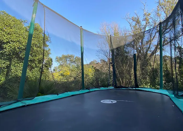 Maison Au Calme Piscine Au Coeur De La Nature U Nuciolu *
