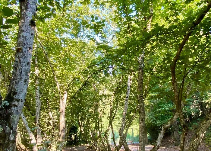 Maison Au Calme Piscine Au Coeur De La Nature U Nuciolu * Talasani