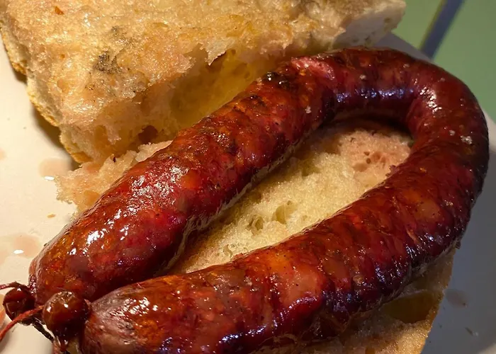 Maison Au Calme Piscine Au Coeur De La Nature U Nuciolu 度假居