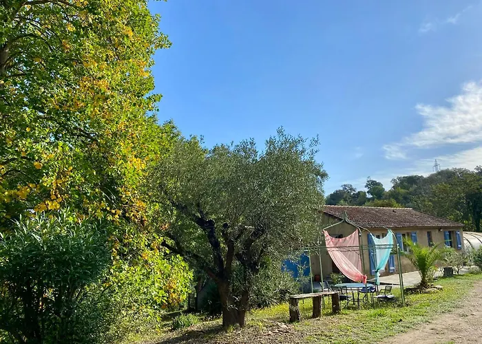 度假居 Maison Au Calme Piscine Au Coeur De La Nature U Nuciolu Talasani