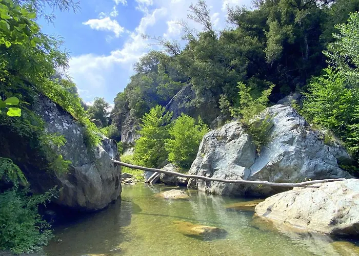 Maison Au Calme Piscine Au Coeur De La Nature U Nuciolu 度假居