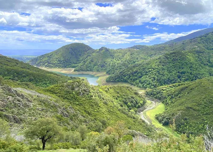 Maison Au Calme Piscine Au Coeur De La Nature U Nuciolu 度假居 *