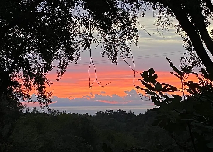 Maison Au Calme Piscine Au Coeur De La Nature U Nuciolu *