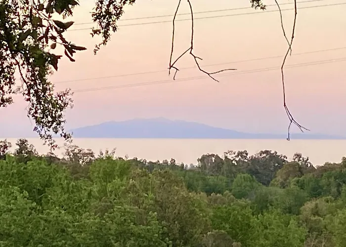 Maison Au Calme Piscine Au Coeur De La Nature U Nuciolu